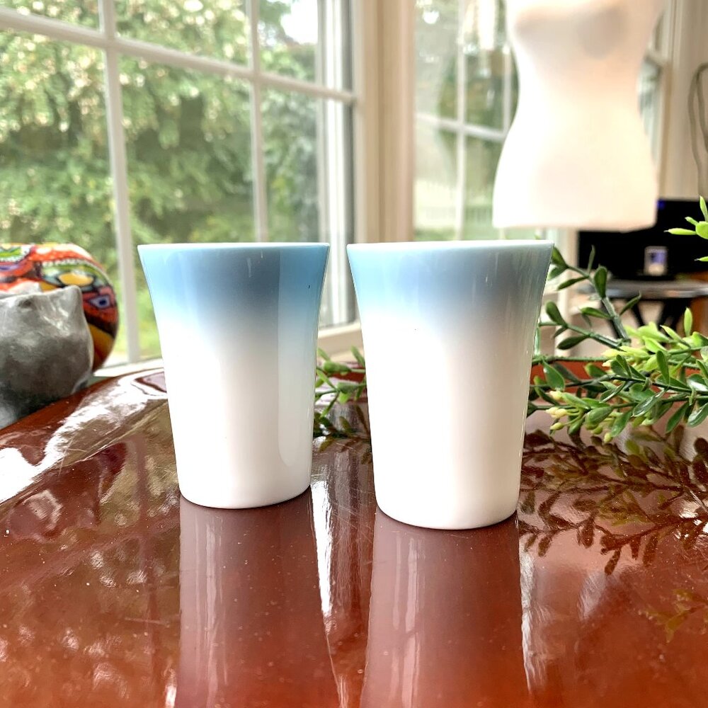 2pc Sake Shot Ceramic Glasses